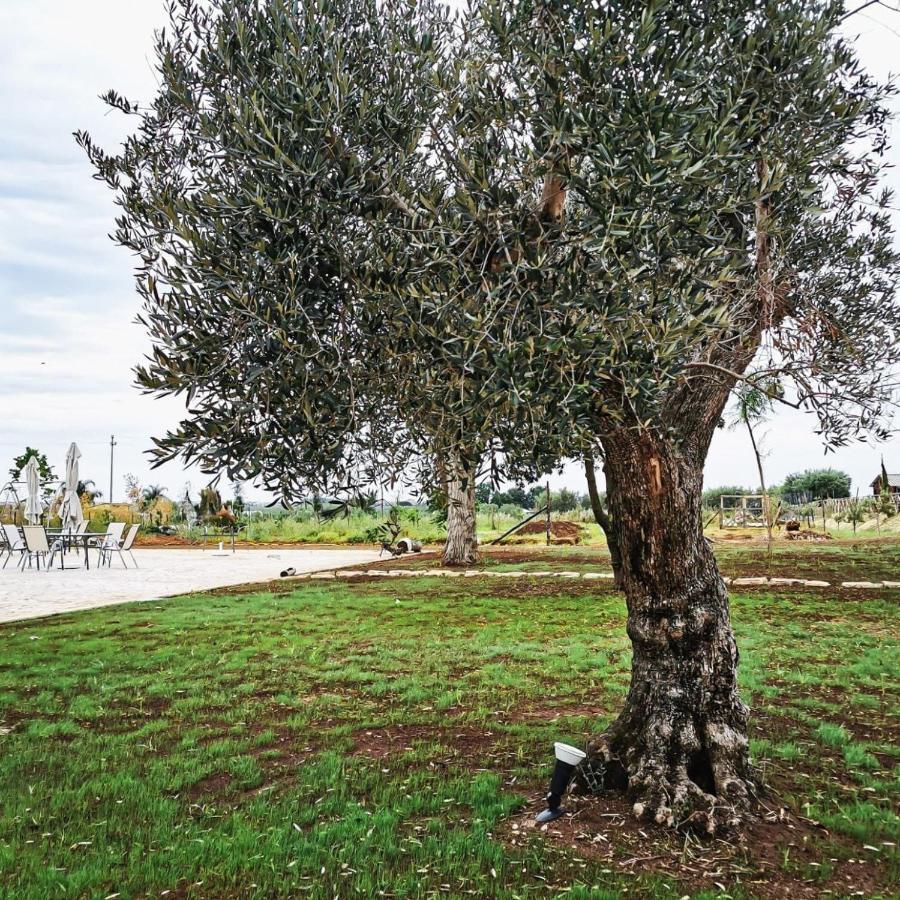 Hotel Il Sentiero Di Leano Terracina Exterior foto